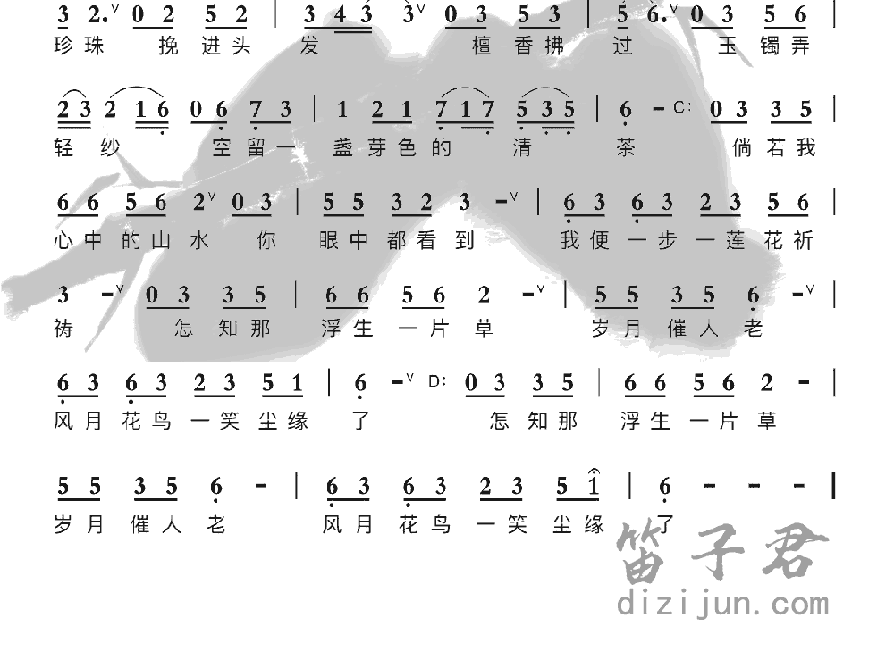 半壶纱竹笛简谱2