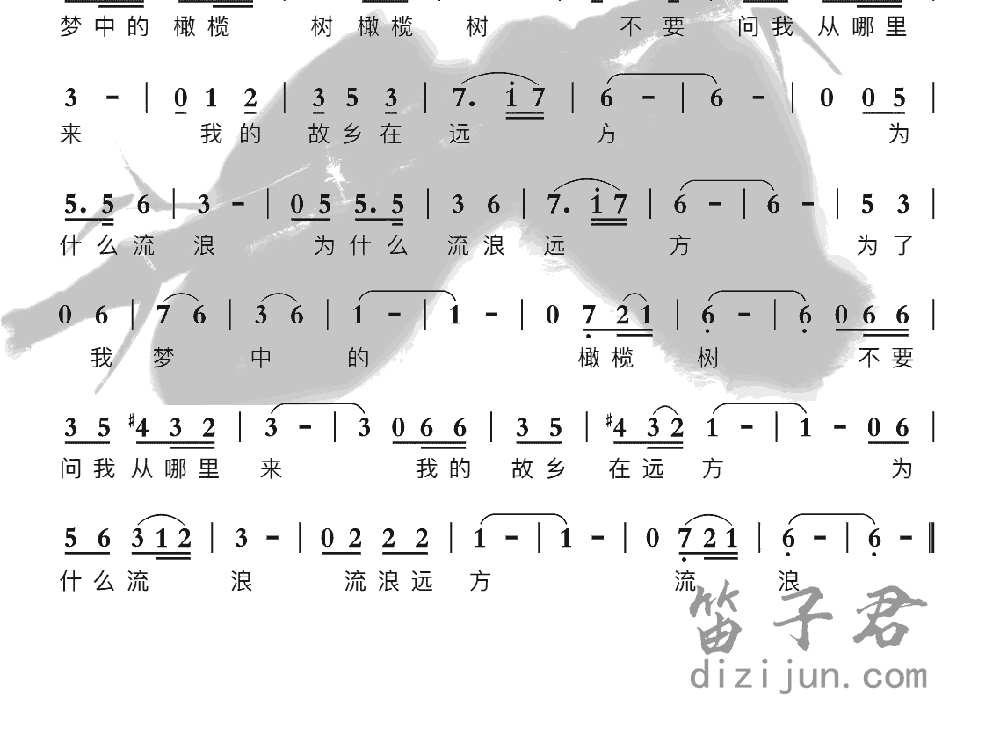 橄榄树竹笛乐曲2