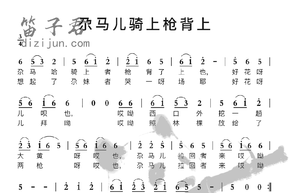 尕马儿骑上枪背上笛子音乐