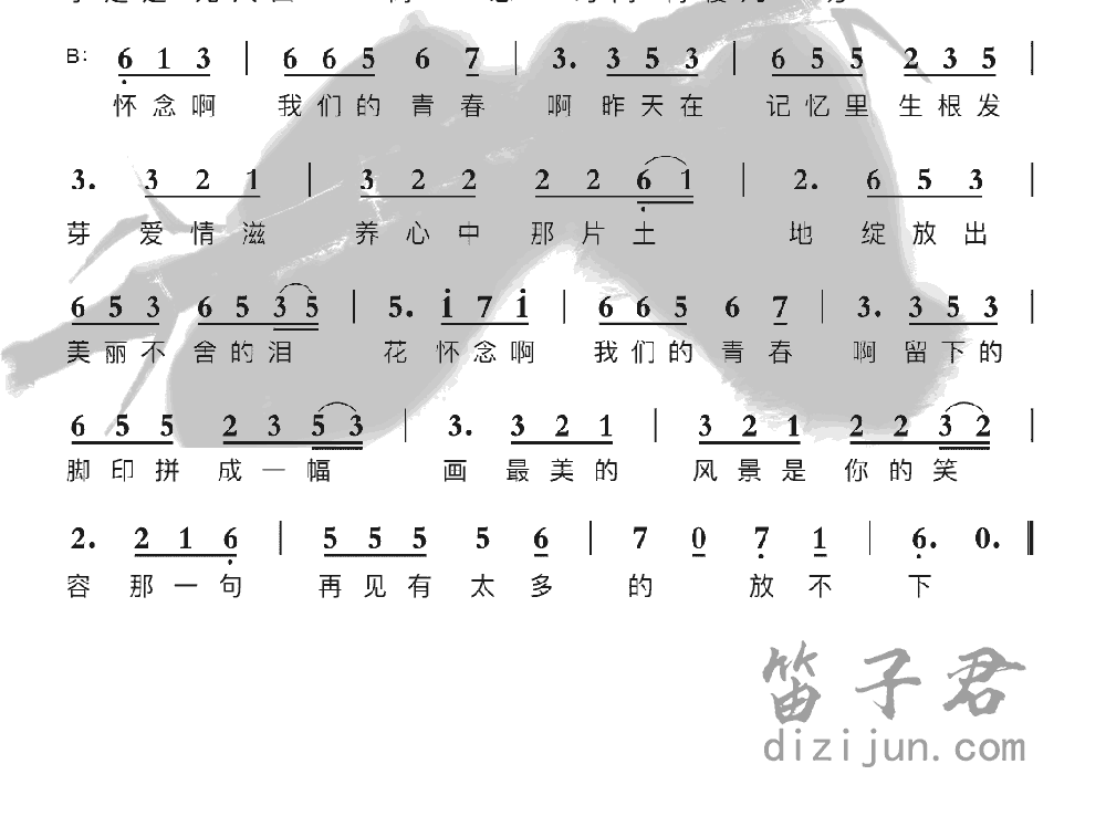 怀念青春竹笛乐曲2
