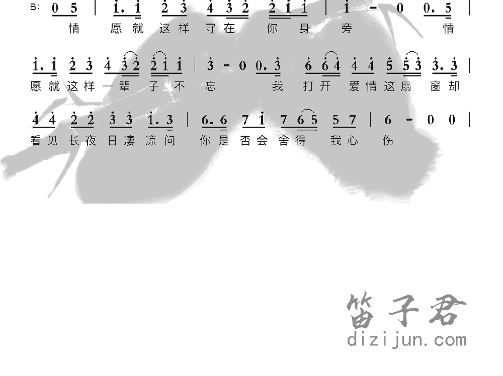 情网笛子音乐2