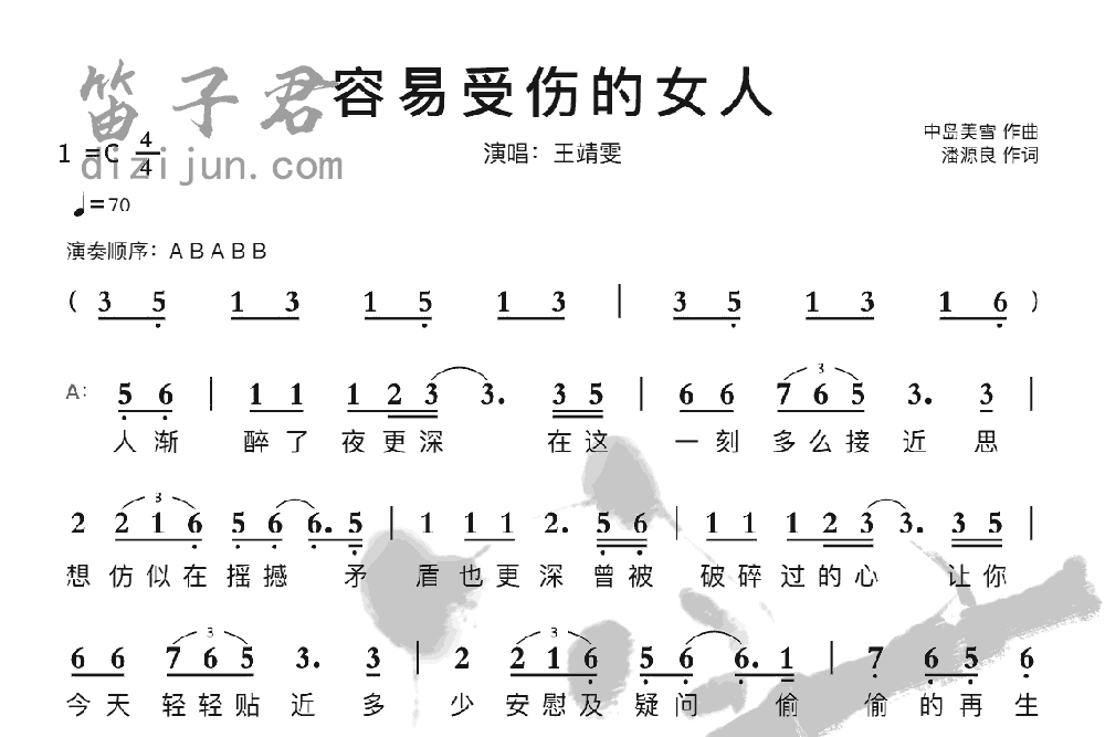 容易受伤的女人笛子音乐