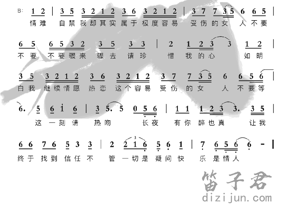 容易受伤的女人笛子音乐2