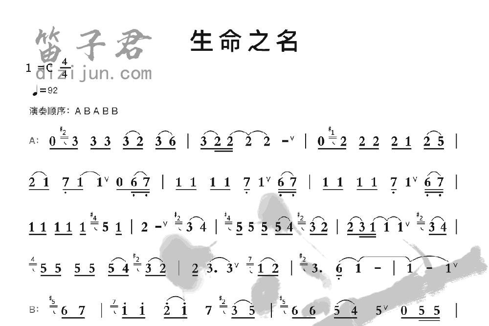 生命之名笛子音乐
