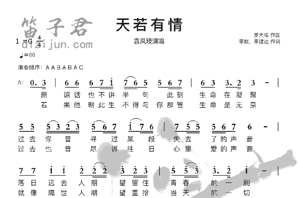 天若有情竹笛乐曲