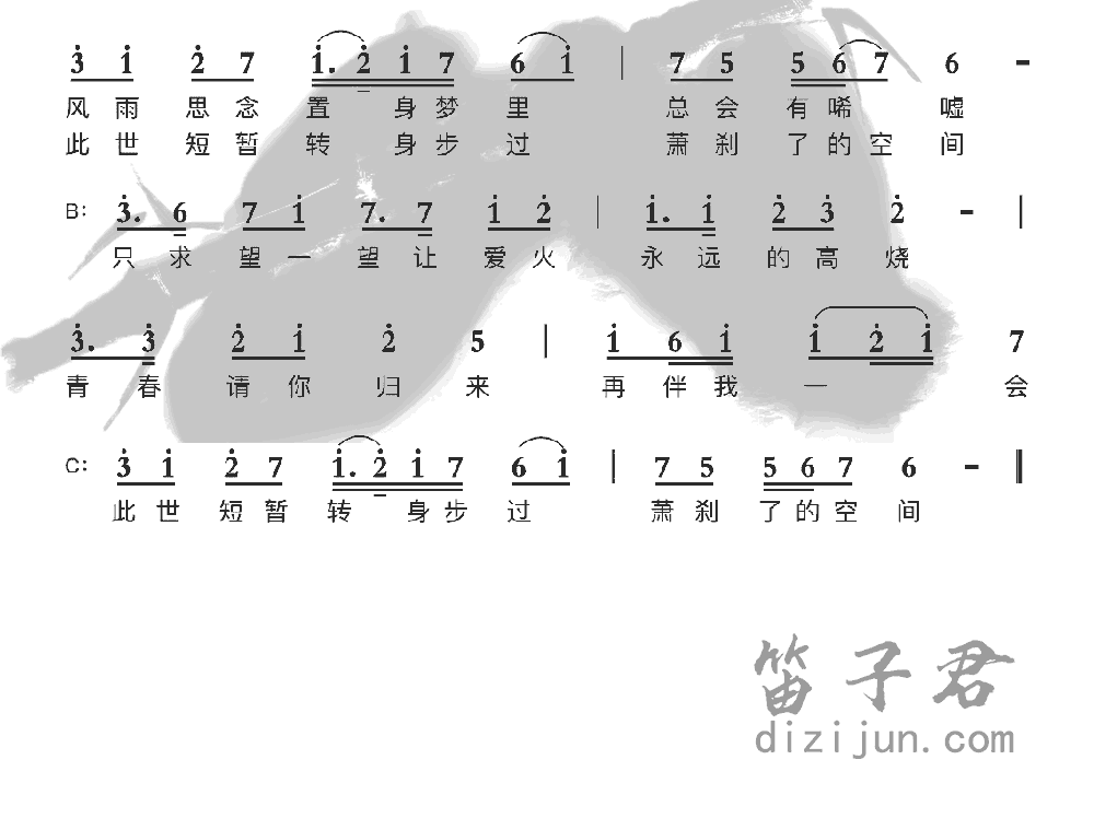 天若有情竹笛乐曲2