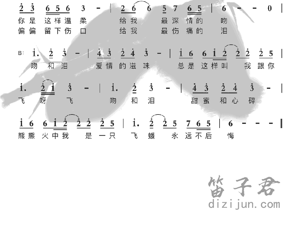 吻和泪笛子音乐2