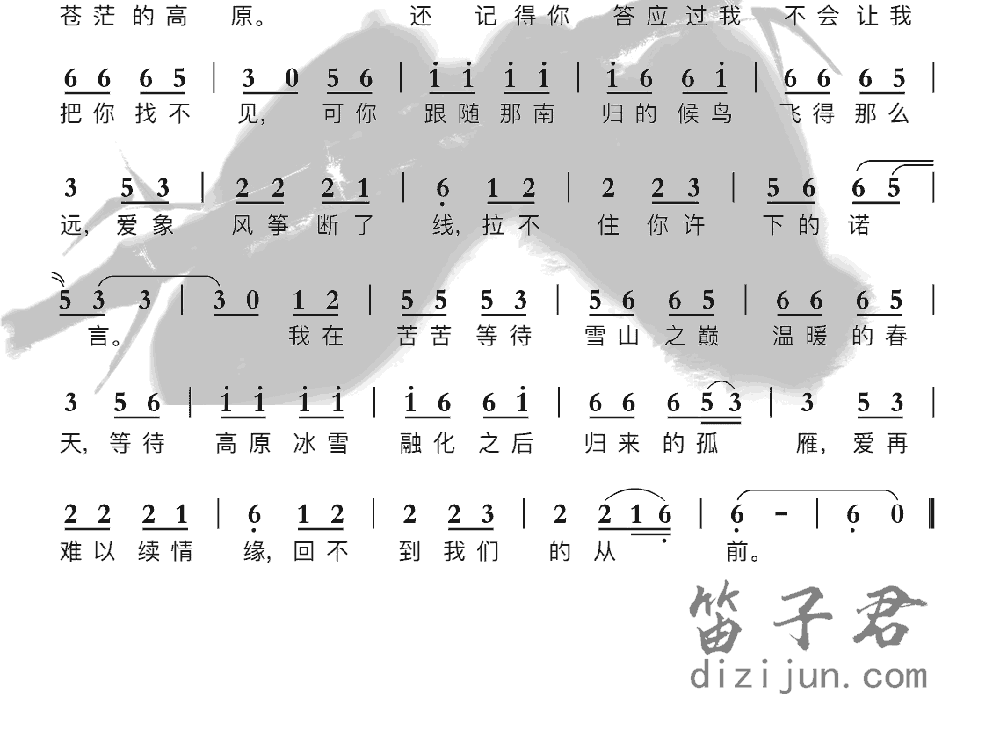 西海情歌笛子音乐2