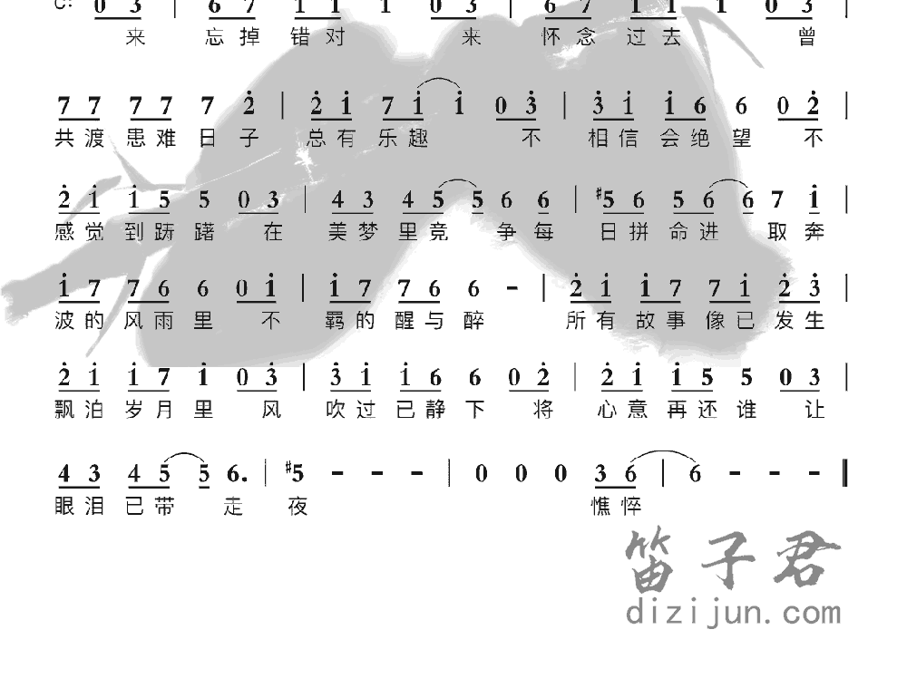 友情岁月竹笛乐曲2