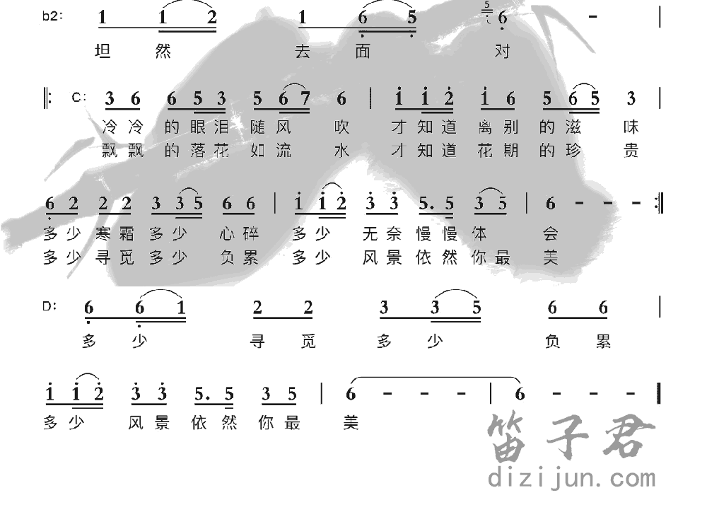 一曲红尘竹笛乐曲2