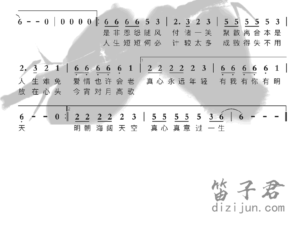 真心真意过一生竹笛乐曲2