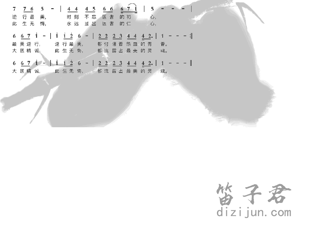 最美逆行笛子音乐2