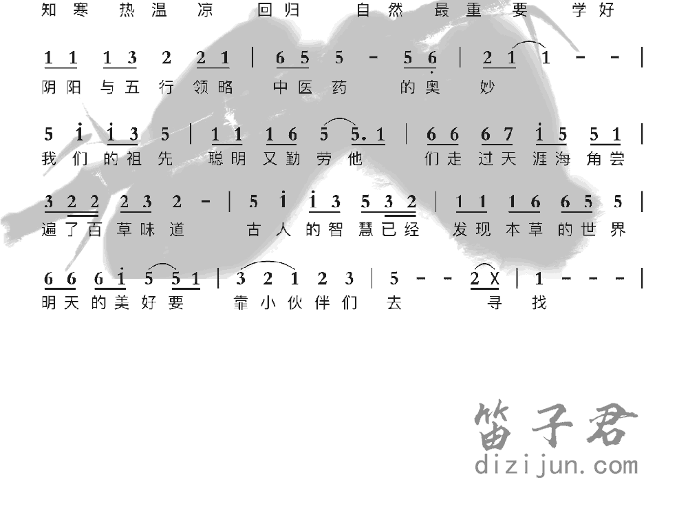 本草歌竹笛简谱2