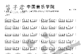 中音六级练习曲2笛子简谱